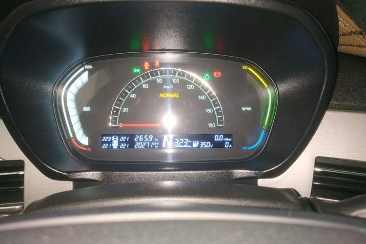 Used Dayun Yuehu 2022 30.66 kWh Two-Wheel Drive Luxury Edition
