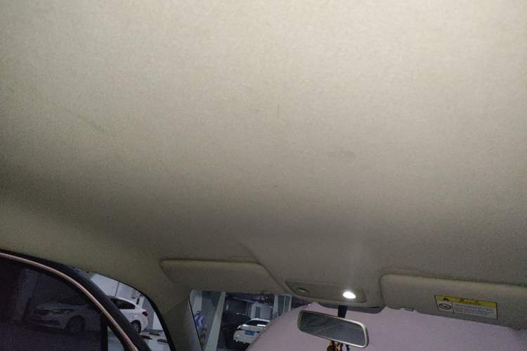 Used Leapmotor T03 2021 400 Micro-Sugar Version Headliner