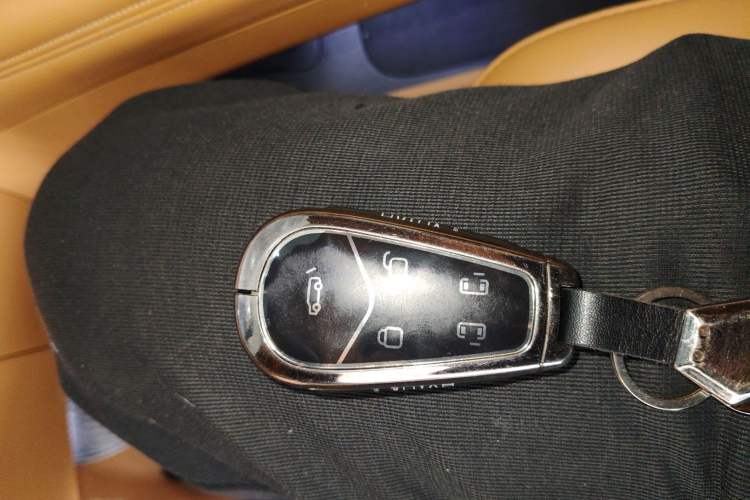 Used VOYAH Dream 2024 PHEV Extended-Range Premium Edition