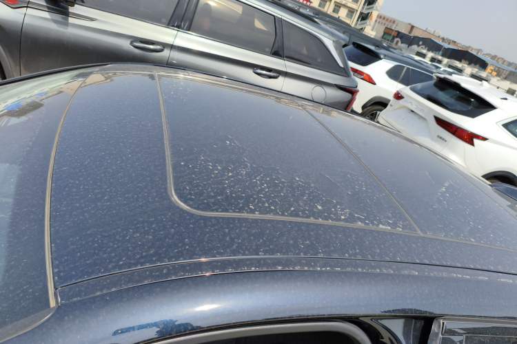 Used BMW 3 Series 2023 325Li M Sport Night Edition Package Roof