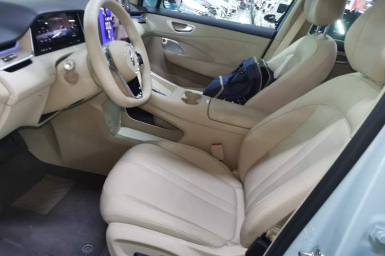 Used Hima H5 2025 Model Pure Electric Max
