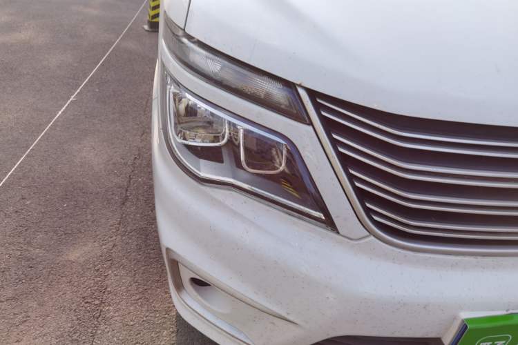 Used FORTHING Lingzhi 