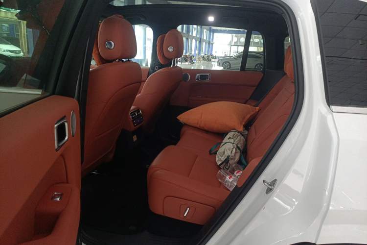 Used Li Auto L6 2024 Pro Model Left Rear Seat