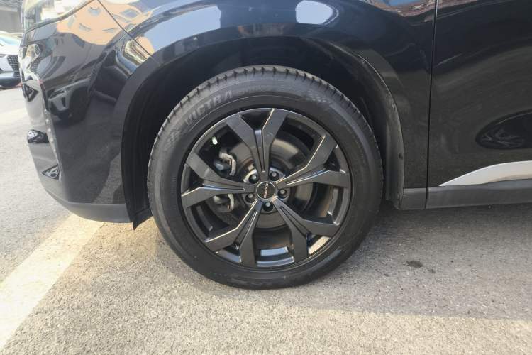 Used EXEED Lanyue 2021 390T Two-Wheel Drive Starry Long-Range Version
