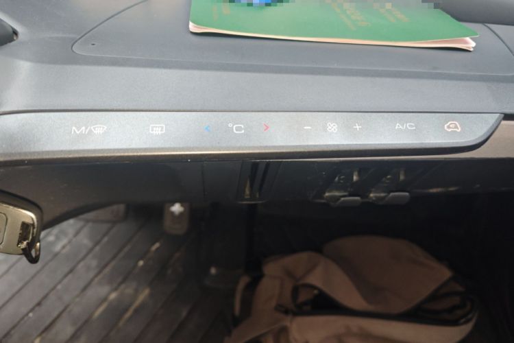 Used Baojun E200 2020 305KM Smart Drive Version