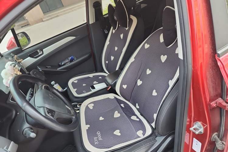 Used NETA N01 2020 380V Left Front Seat