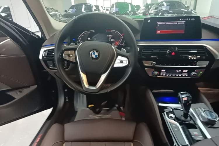 Used BMW 5 Series 2020 530Li Luxury Edition Premium Package
