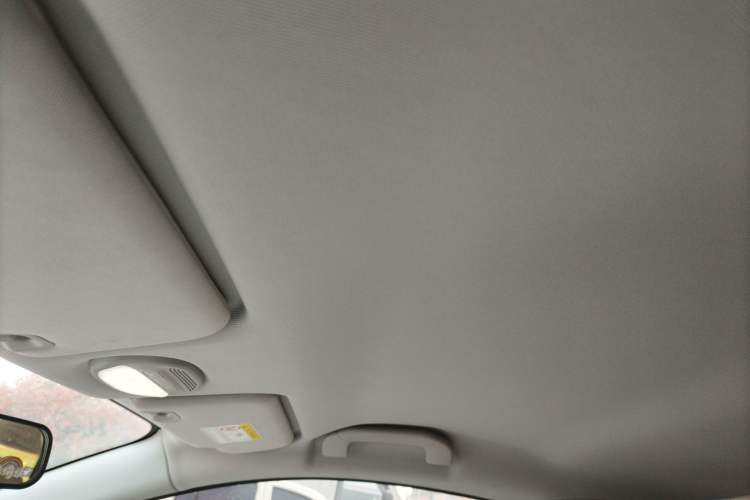 Used Chery Little Ant 2024 Facelifted 321km Beloved Edition Headliner