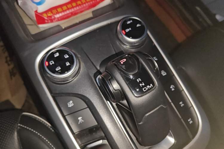 Used Tank 300 2024 2.0T Conqueror
