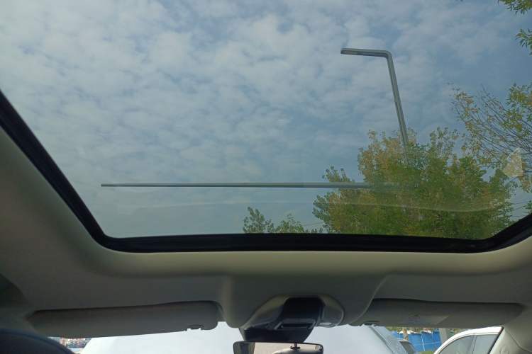 Used Livan Livan 9 2023 470 km Leading Edition