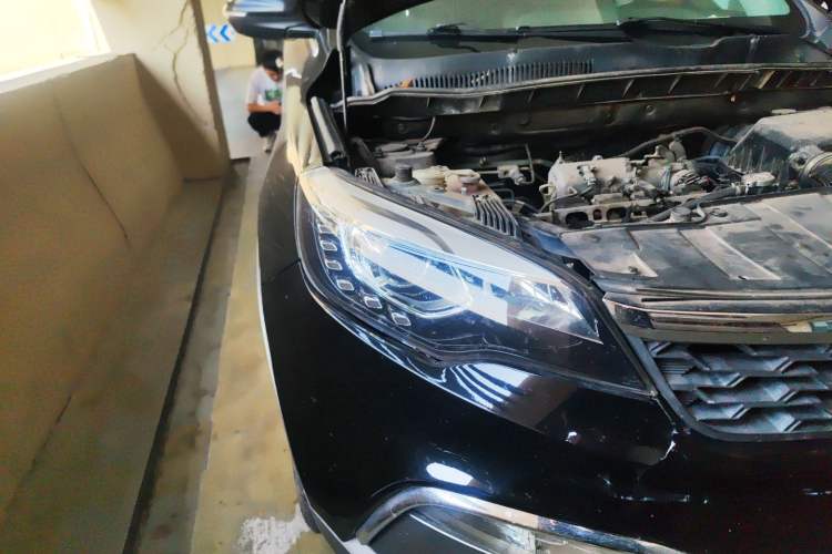 Used Leopaard CS10 2017 2.0T Manual Excellence Edition
