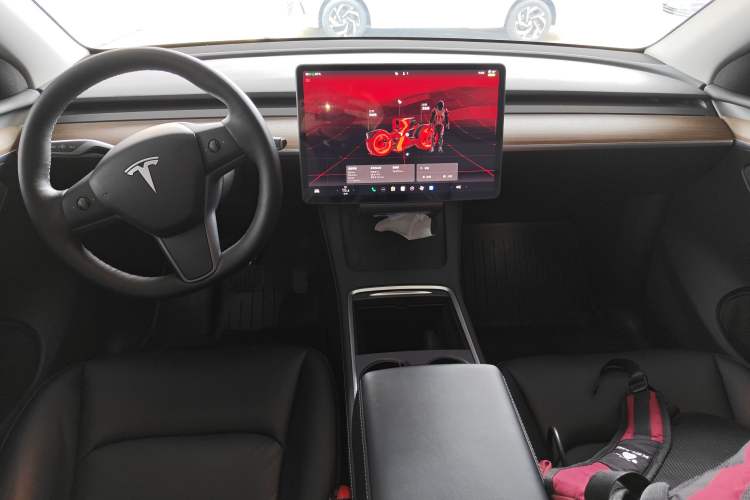 Used Tesla Model Y 2022 Rear-Wheel-Drive Version
