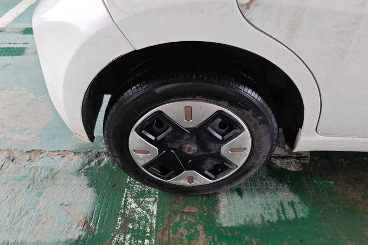 Used SOL E10X 2022 Flower Fairy Design Dandelion