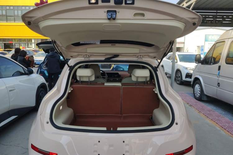 Used ORA Good Cat 2023 401 km Standard Range Luxury Version Ternary Lithium