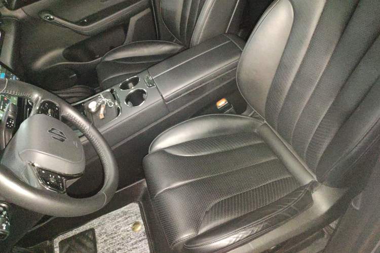 Used Leapmotor C11 2021 Luxury Edition Left Front Seat