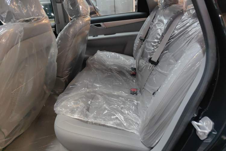 Used Denza 2018 450 Base Version
