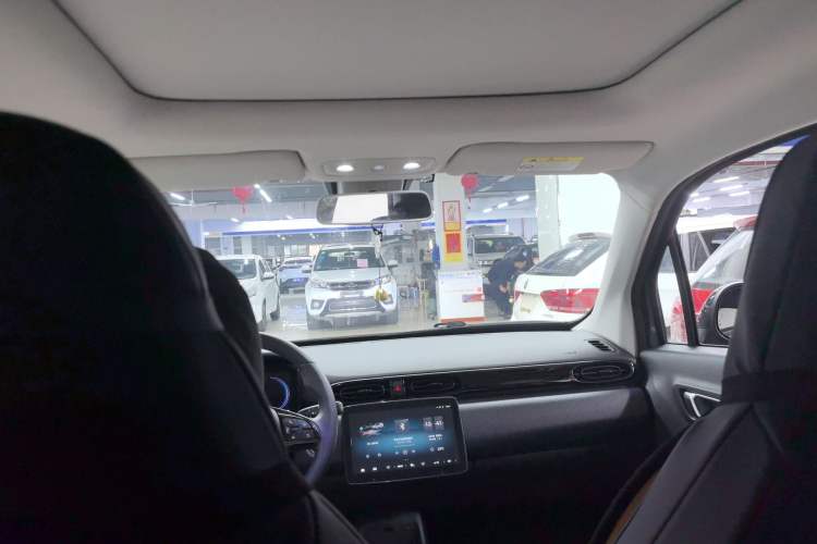 Used Leapmotor T03 2022 Star Diamond Edition Headliner