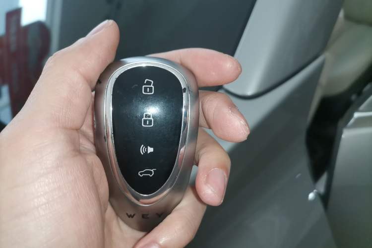 Used Wey Mocha New Energy 2023 Two-Wheel Drive Long-Range Version