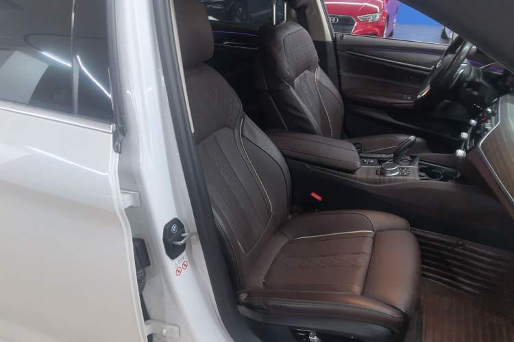 Used BMW 5 Series 2020 530Li Luxury Edition Premium Package