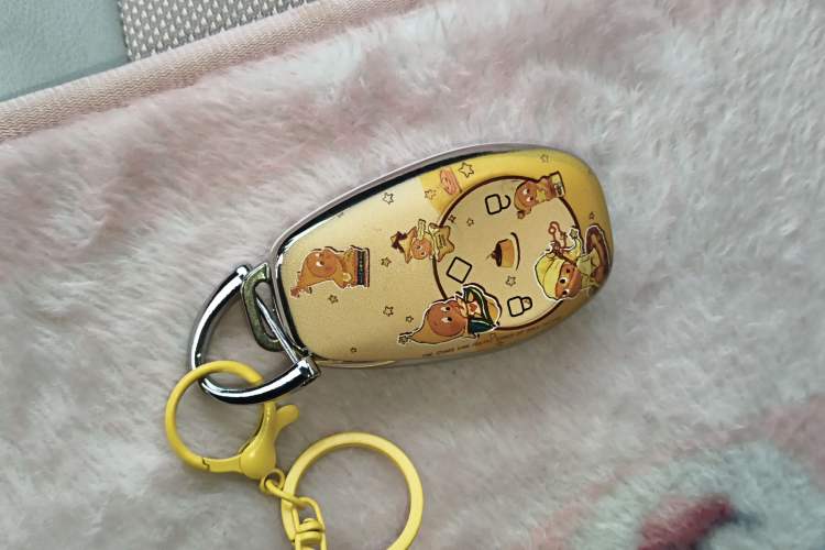 Used Leapmotor T03 2023 310 Lite Edition Vehicle Key