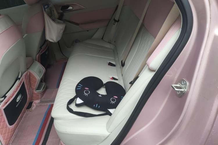 Used Geometry E Firefly 2023 401 km Super-Liked Special Edition 5 Seats