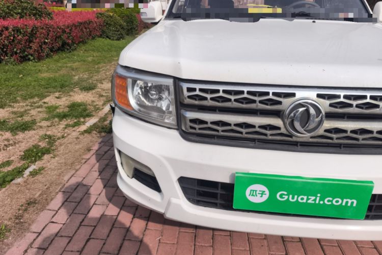 Used Dongfeng Ruichi 2017 2.5T Diesel Two-Wheel Drive Standard Version ZD25T5