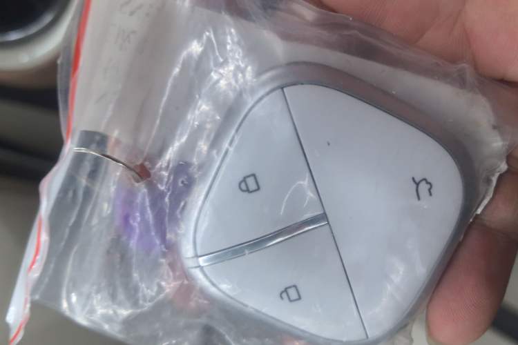 Used Wuling Bingo 2025 333 km Enjoyment Version Vehicle Key