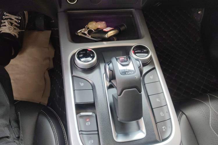 Used Tank 300 2021 City Edition 2.0T My Vision Model