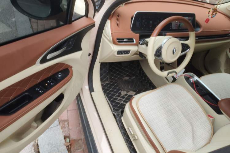 Used ORA Good Cat 2021 400km Standard Range Athena Edition Lithium Iron Phosphate