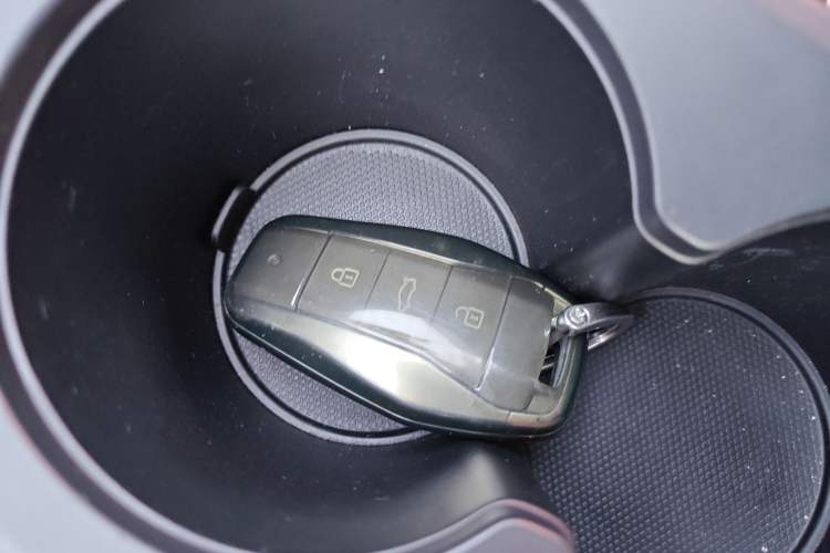 Used SOL E10X 2022 Flower Fairy Design Four-Leaf Clover