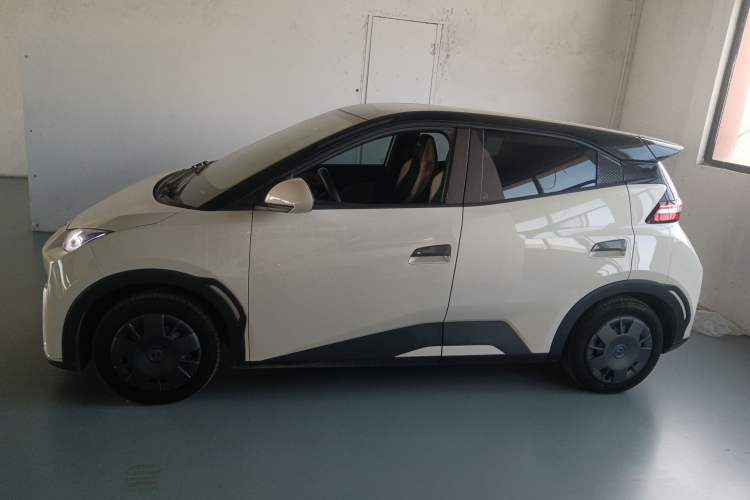 Used BYD Seagull 2024 Honor Edition 305km Dynamic Version Left Side