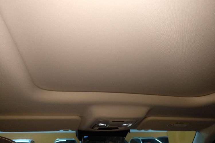 Used Haval Raptor New Energy 2023 Hi4 102 Exploration Edition Headliner