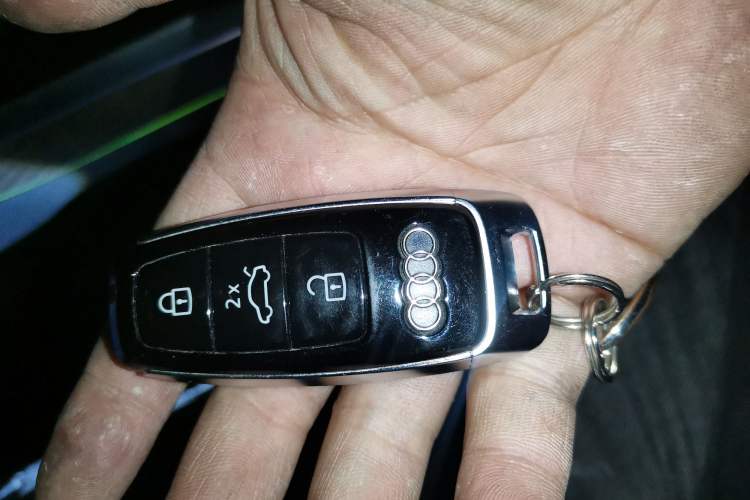 Used Audi Q7 2019 55 TFSI S line Sport Edition