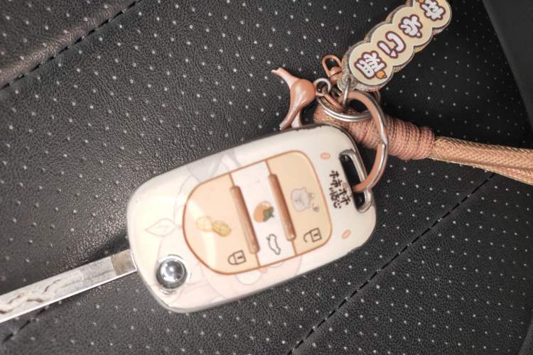 Used Wuling Hongguang MINIEV 2025 Four-Door Version Advanced Edition Vehicle Key