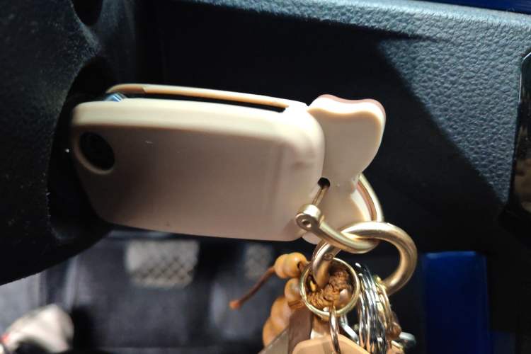 Used Volkswagen Polo 2019 Plus 1.5L Automatic Colorful Technology Edition