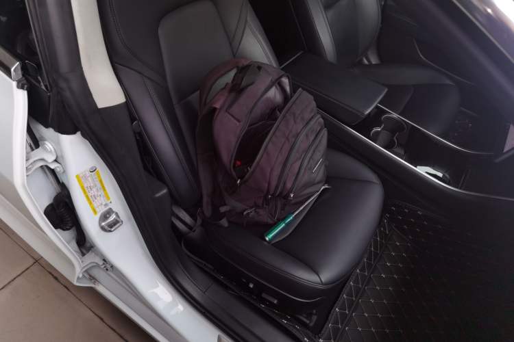 Used Tesla Model 3 2019 Standard Range Rear-Wheel Drive Upgraded Version (52 kWh)