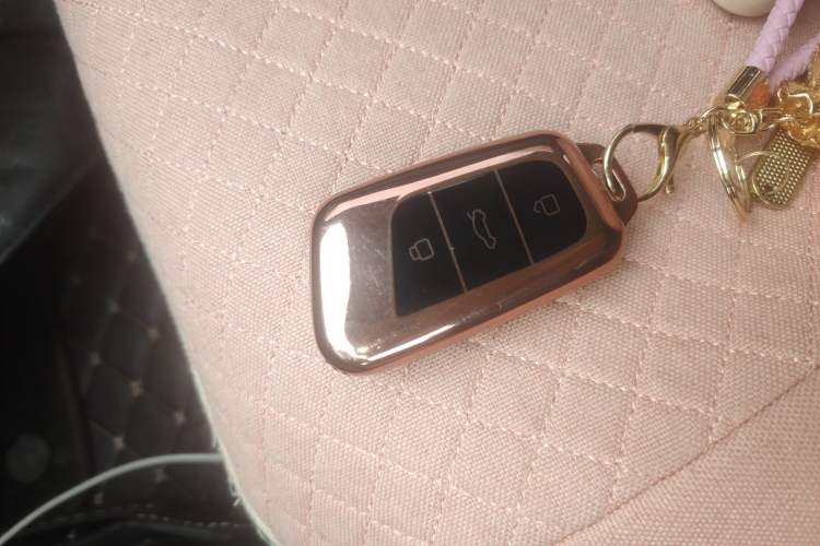 Used Chery Little Ant 2022 Sweet Pink Edition Low-Sugar Version Lithium Iron Phosphate 30 kW 301 km