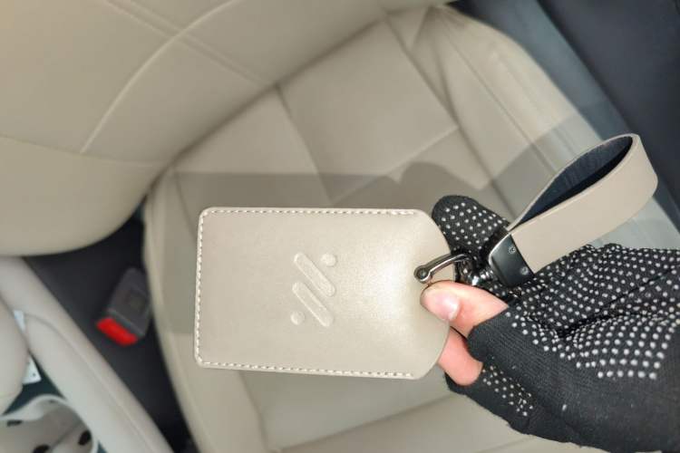 Used IM LS6 2023 Max Standard Edition
