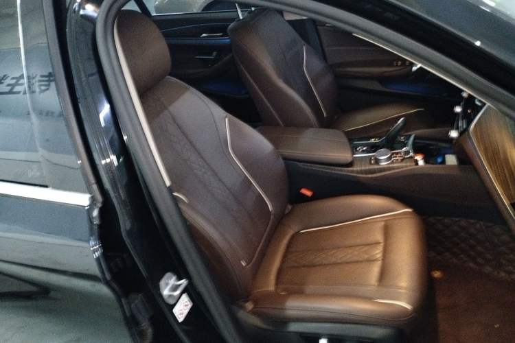 Used BMW 5 Series New Energy 2021 535Le Luxury Package
