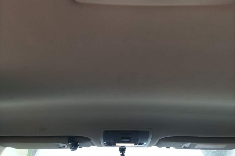 Used Lexus NX 2020 200 Front-Wheel Drive Freeline Edition China VI Standard Headliner