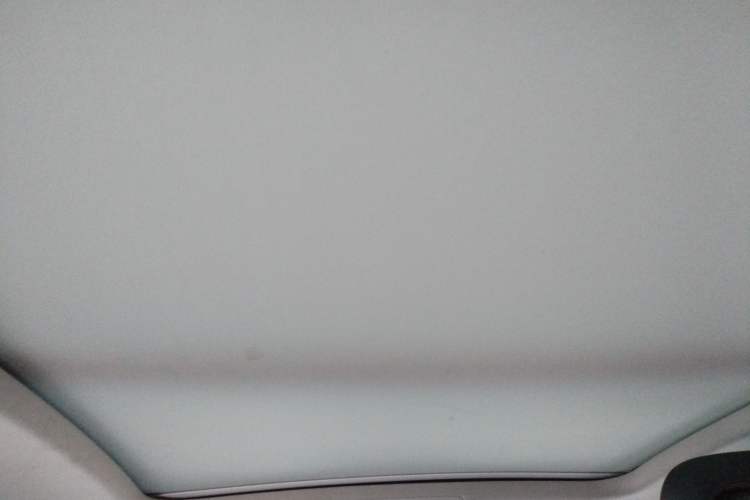 Used Volkswagen Magotan 2019 330TSI DSG Luxury Model China V Standard