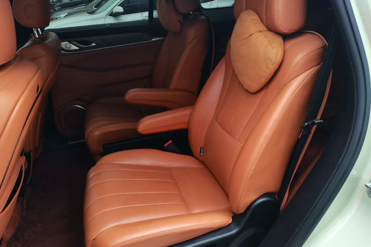 Used Wey Lanshan 2023 Four-Wheel Drive Ultra-Long Range Version Left Rear Seat