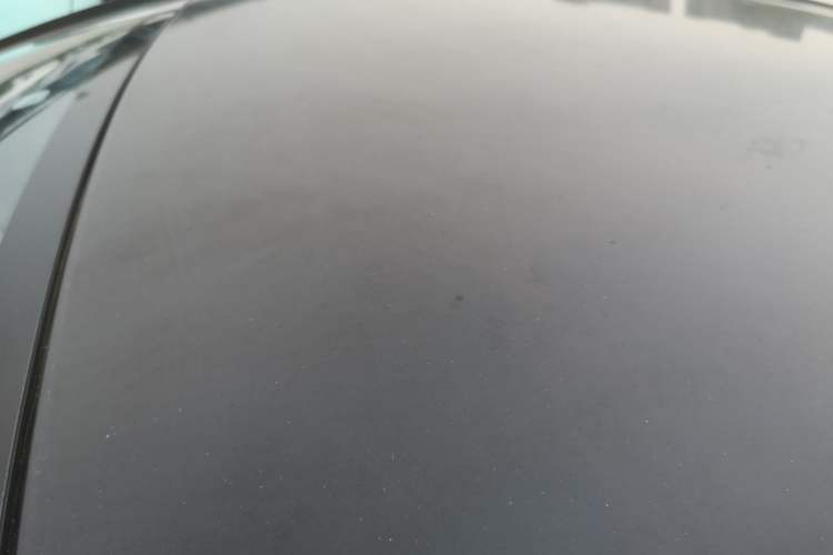 Used SOL E10X 2022 Flower Fairy Design Sunflower Roof