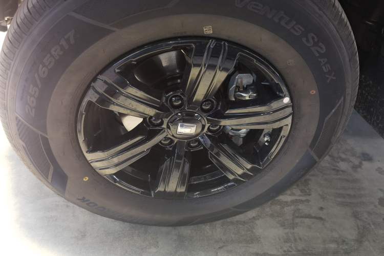 Used Tank 300 2025 2.0T Conqueror
