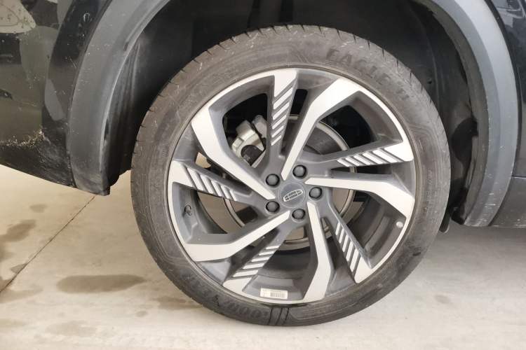 Used Geely Auto Monjaro L 2024 2.0TD High-Power Automatic Two-Wheel Drive Skyline Edition
