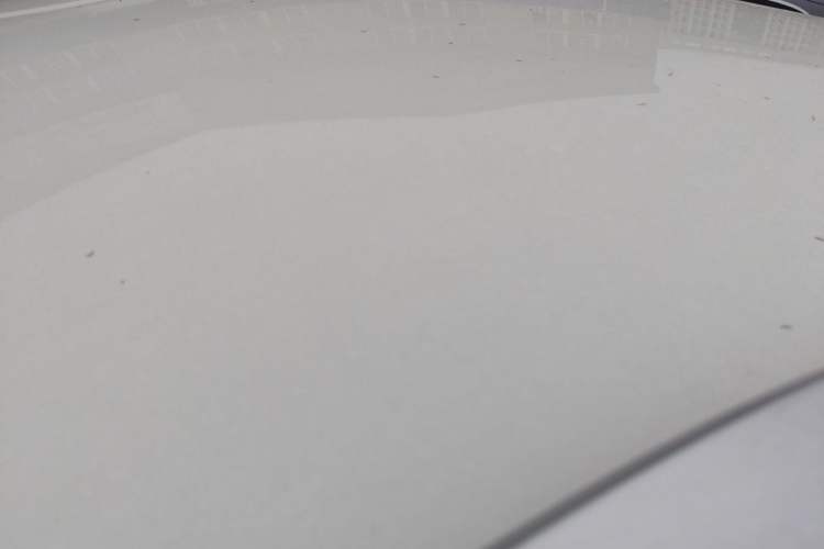 Used Citroen C3-XR 2019 230THP DCT ORIGINS Centennial Deluxe Edition Roof