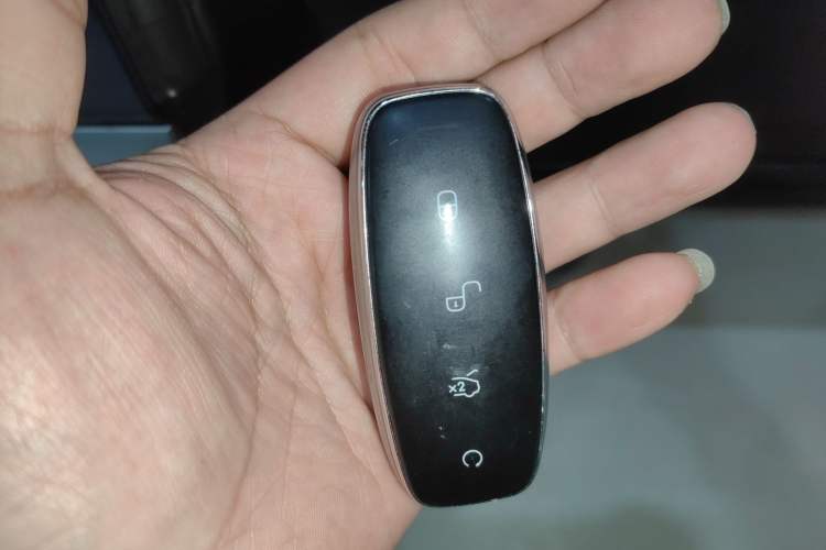 Used Denza D9 2024 EV 600 Four-Wheel-Drive Flagship Model Interior 1