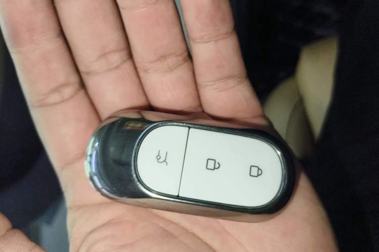 Used Leapmotor C01 2024 Pure Electric 525 Luxury Edition