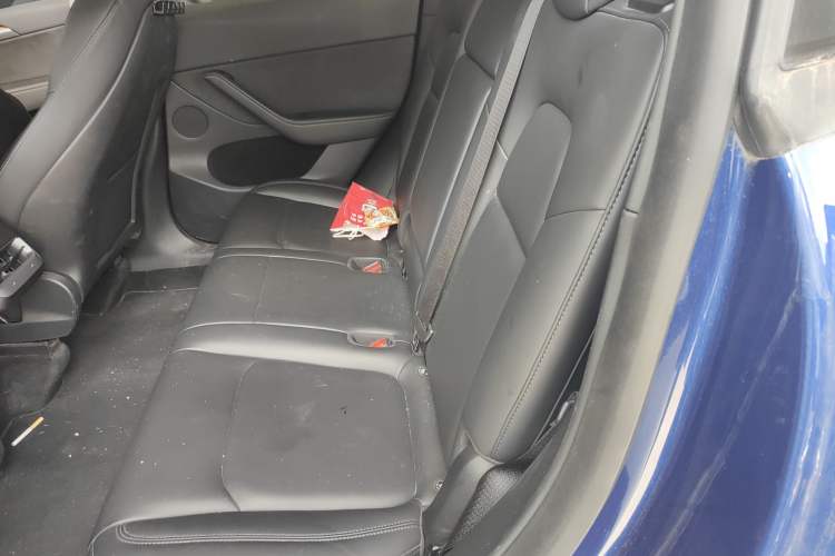 Used Tesla Model Y 2021 Standard Range Rear-Wheel Drive Version
