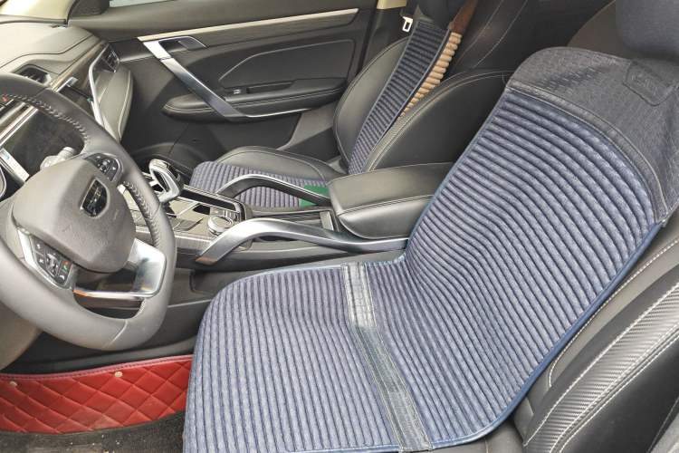 Used Farizon FX 2020 1.8T Smart Connect Edition 4 Seats Left Front Seat